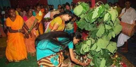करमा उत्सव की जबरदस्त तैयारी, सहिस-सारथी-घसिया समाज में बढ़ रही सांस्कृतिक जागरूकता